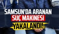 Samsun'da aranan suç makinesi yakalandı!