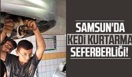 Samsun'da kedi kurtarma seferberliği!