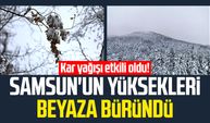 Kar yağışı etkili oldu! Samsun'un yüksekleri beyaza büründü | Video