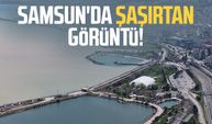 Samsun'da şaşırtan görüntü! Karadeniz'in rengi değişti