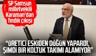 SP Samsun milletvekili Mehmet Karaman'dan fındık çıkışı