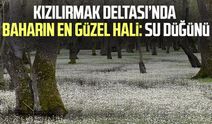 Kızılırmak Deltası’nda baharın en güzel hali: Su düğünü