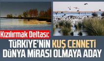 Samsun Kızılırmak Deltası: Türkiye’nin kuş cenneti dünya mirası olmaya aday