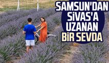 Samsun'dan Sivas'a uzanan bir sevda