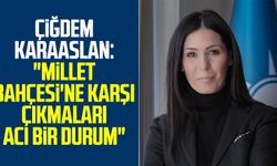 AK Partili Çiğdem Karaaslan: "Millet Bahçesi'ne karşı çıkmaları acı bir durum"