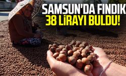 Samsun'da Fındık 38 Lirayı Buldu!