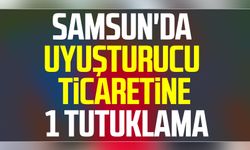 Samsun'da uyuşturucu ticaretine 1 tutuklama
