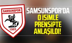 Samsunspor'da o isimle prensipte anlaşıldı!