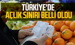 Türkiye'de Açlık Sınırı Belli Oldu