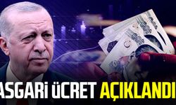 Güncel asgari ücret belli oldu! 2022 Asgari ücret ne kadar oldu?