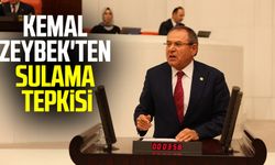 CHP Milletvekili Kemal Zeybek'ten sulama tepkisi