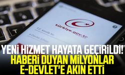 Yeni hizmet hayata geçirildi! Haberi duyan milyonlar e-Devlet'e akın etti