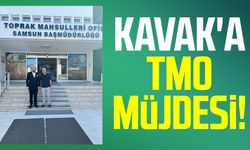 Kavak'a TMO müjdesi!