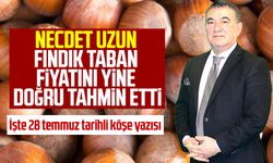 Necdet Uzun Fındık Taban Fiyatını Yine Doğru Tahmin Etti! İşte 28 Temmuz Tarihli Köşe Yazısı