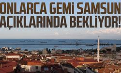 Onlarca gemi Samsun açıklarında bekliyor!