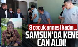 Samsun'da kene can aldı!