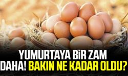 Yumurta bir zam daha! Bakın ne kadar oldu?