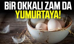 Yumurta fiyatlarına zam geldi!