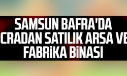Samsun Bafra'da icradan satılık arsa ve fabrika binası