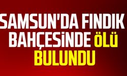 Samsun haber | Samsun'da fındık bahçesinde ölü bulundu