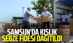 Samsun haberleri: Samsun'da kışlık sebze fidesi dağıtıldı