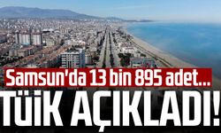 Samsun haber: TÜİK açıkladı! Samsun'da 13 bin 895 adet...