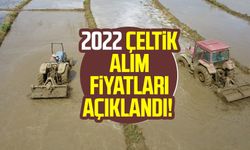 2022 buğday taban fiyatı kaç TL? 2022 çeltik alım fiyatları açıklandı!