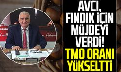 Ayvacık Ziraat Odası Başkanı Erdal Avcı, fındık için müjdeyi verdi! TMO oranı yükseltti