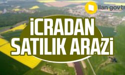 Samsun İlkadım'da icradan satılık 260 m² arazi