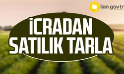 Samsun Bafra'da icradan satılık tarla