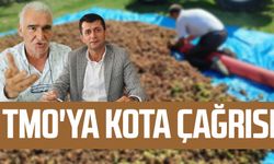 Samsun ziraat odası başkanlarından TMO'ya kota çağrısı