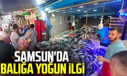 Samsun'da balığa yoğun ilgi