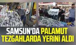 Samsun'da palamut tezgahlarda yerini aldı