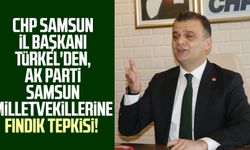 CHP Samsun İl Başkanı Fatih Türkel'den, AK Parti Samsun Milletvekillerine fındık tepkisi!