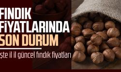 Fındık fiyatları ne kadar oldu? İşte 15 Ekim Cumartesi il il fındık fiyatları