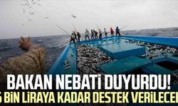 Bakan Nebati duyurdu! 6 bin liraya kadar destek verilecek