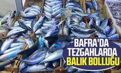 Bafra'da tezgahlarda balık bolluğu