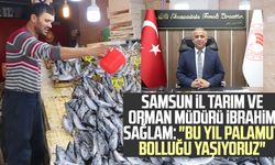 Samsun İl Tarım ve Orman Müdürü İbrahim Sağlam: "Bu yıl palamut bolluğu yaşıyoruz"