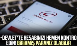 E-Devlet'te hesabınızı hemen kontrol edin! Birikmiş paranız olabilir