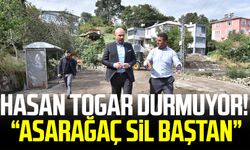 Tekkeköy Belediye Başkanı Hasan Togar durmuyor! "Asarağaç sil baştan"