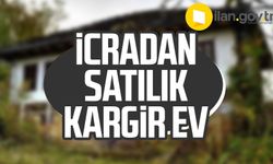 Samsun Salıpazarı'nda icradan satılık kargir ev ve fındık bahçesi