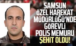 Samsun Özel Harekat Müdürlüğü'nde görevli polis memuru Mustafa Çalışgan şehit oldu!