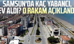 Samsun'da kaç yabancı, ev aldı? O rakam açıklandı