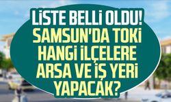 Samsun'da TOKİ hangi ilçelere arsa ve iş yeri yapacak?