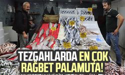 Samsun'da tezgahlarda en çok rağbet palamuta!