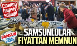 Çinekop hamsiyi solladı! Samsunlular fiyattan memnun 