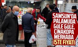 Samsun'da palamuda güle güle, çinakopa merhaba! İşte fiyatı