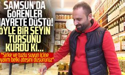 Samsun'da görenler hayrete düştü! Bakın neyin turşusunu kurdu