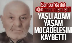 Samsun'da dut ağacından düşmüştü! Yaşlı adam yaşam mücadelesini kaybetti