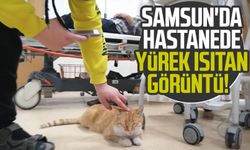 Samsun'da hastanede yürek ısıtan görüntü!